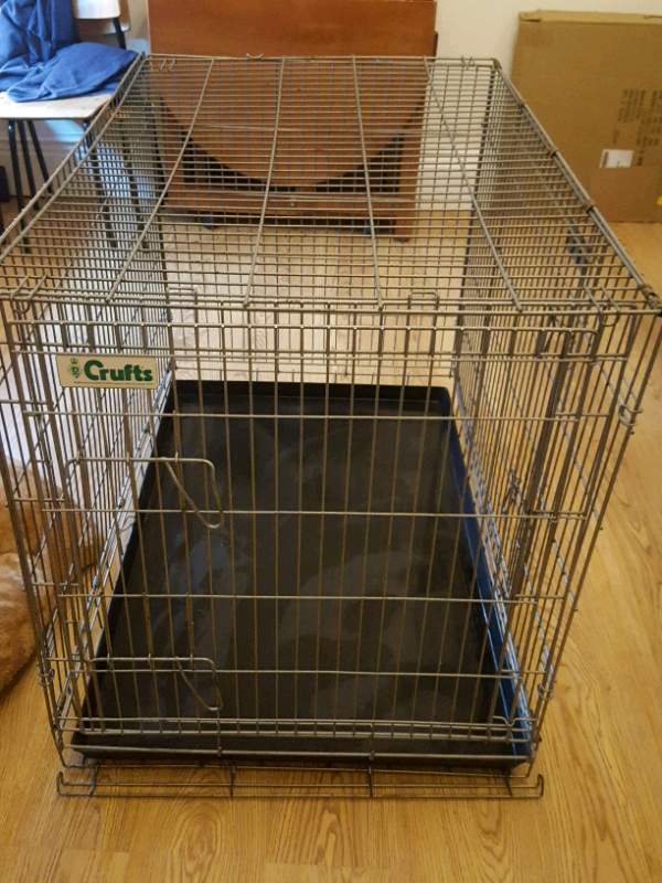 large dog crate gumtree